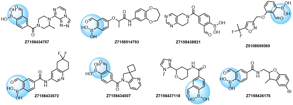 Examples of Formyl Boronates in pre-plated Covalent Screening Library