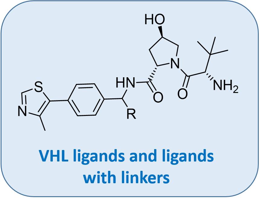 VHL ligands and ligands with linkers