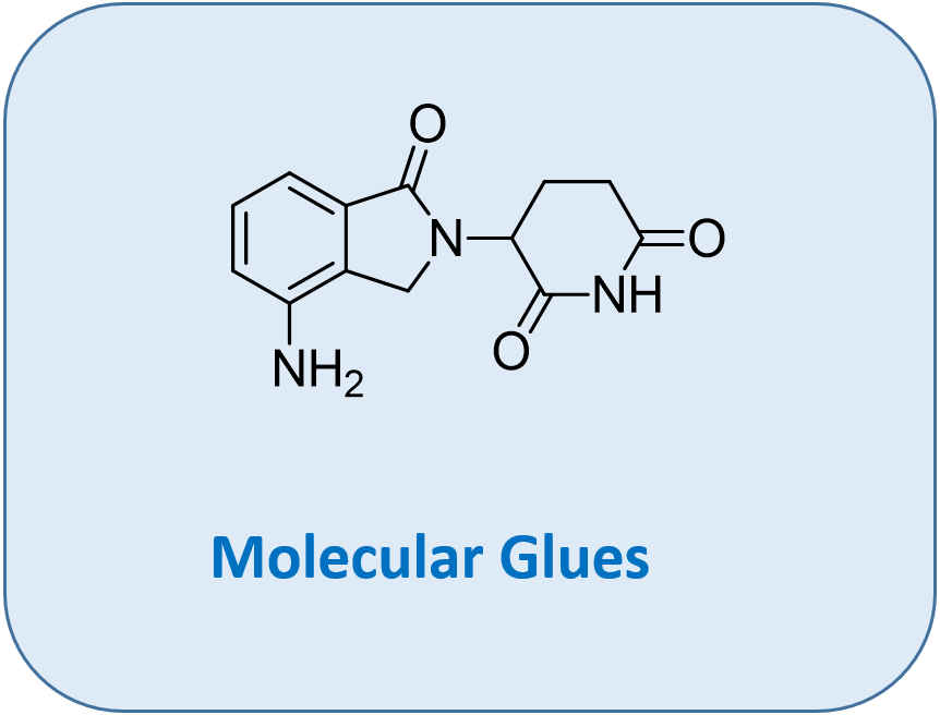 Molecular Glues