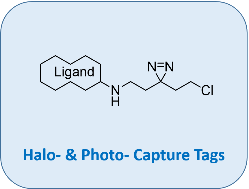 Halo- & Photo- Capture Tags
