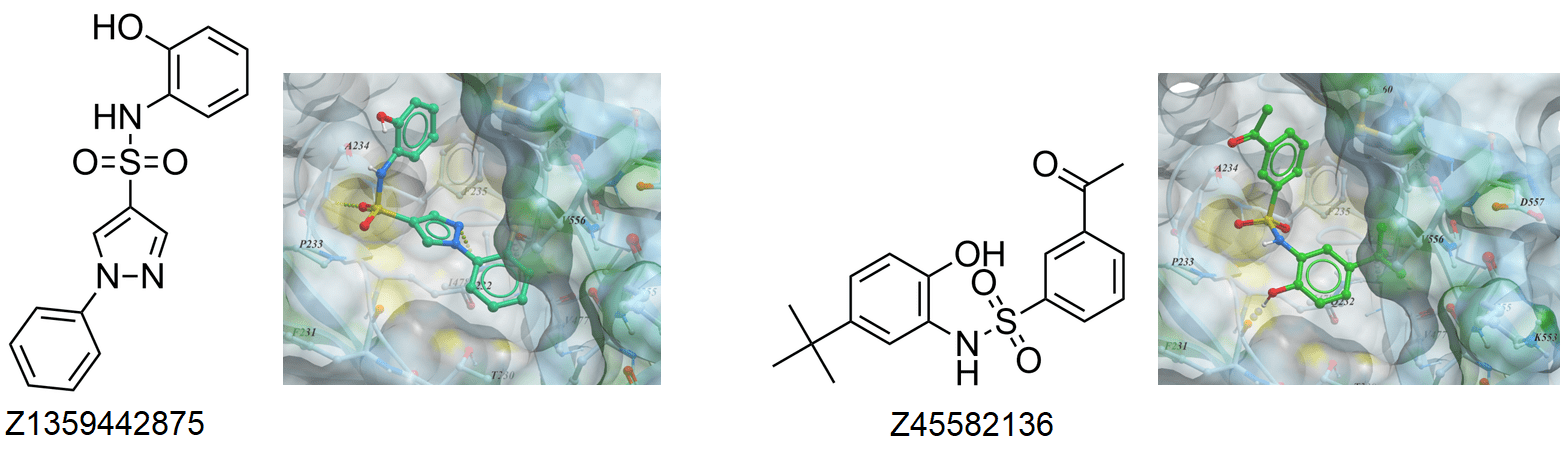 Examples of SPLAM analogues