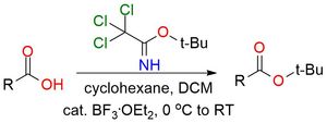 tert-Butyl 2,2,2-trichloroacetimidate