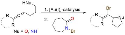 N-Bromocaprolactam