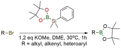 Pinacol ester (dimethylphenylsilyl)boronic acid