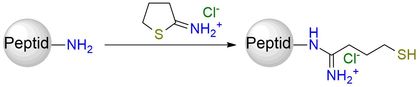 Traut’s reagent