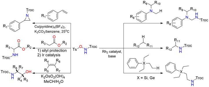 2,2,2-Trichloroethyl N-tosyloxycarbamate