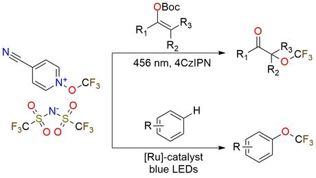 4-Cyano-N-trifluoromethoxypyridinium triflimide