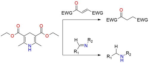 Hantzsch ester