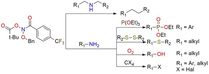 N-(Benzyloxy)-N-(pivaloyloxy)-4-(trifluoromethyl)-benzamide