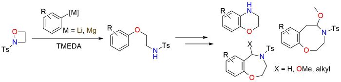 N-Tosyl-1,2-oxazetidine