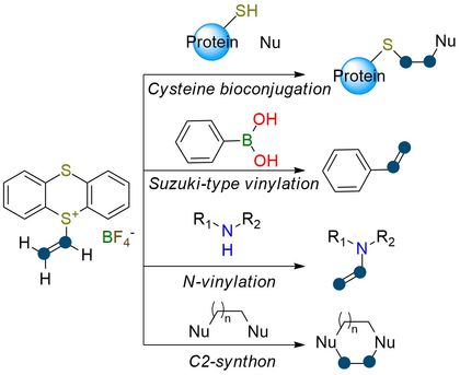 Vinyl Thianthrenium Tetrafluoroborate