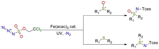 Trichloroethoxysulfonyl azide