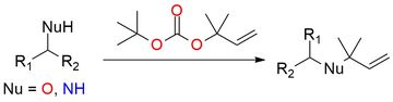 tert-Butyl 1,1-dimethylallyl carbonate