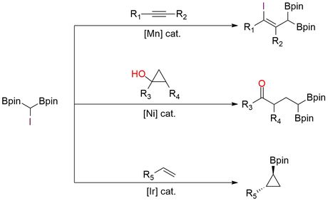 (Diborylmethyl)iodide