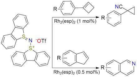 λ⁴-Dibenzothiophen-5-imino-N-dibenzothiophenium triflate