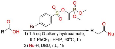 1-(Dimethoxyphosphoryl)vinyl 4-bromobenzenesulfonate