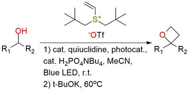 Dineopentylvinylsulfonium triflate