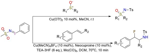 [N-(Methylsulfonyl)imino]phenyliodinane