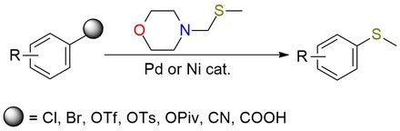 4-[(Methylsulfanyl)methyl]morpholine