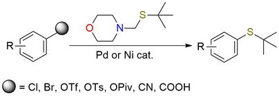 4-((tert-Butylthio)methyl) morpholine