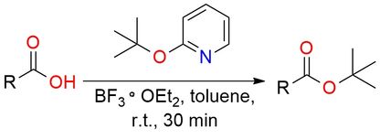 2-tert-Butoxypyridine