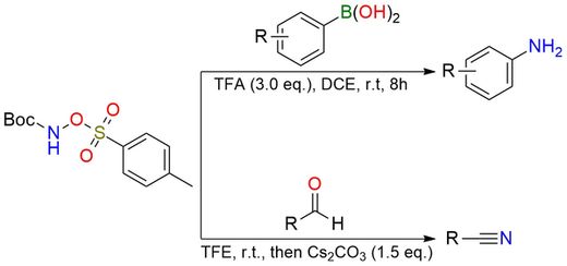 N-Boc-O-tosylhydroxylamine
