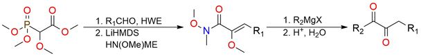 Methyl 2-(dimethyl phosphono)-2-methoxyacetate