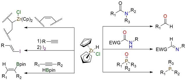 Schwartz's reagent