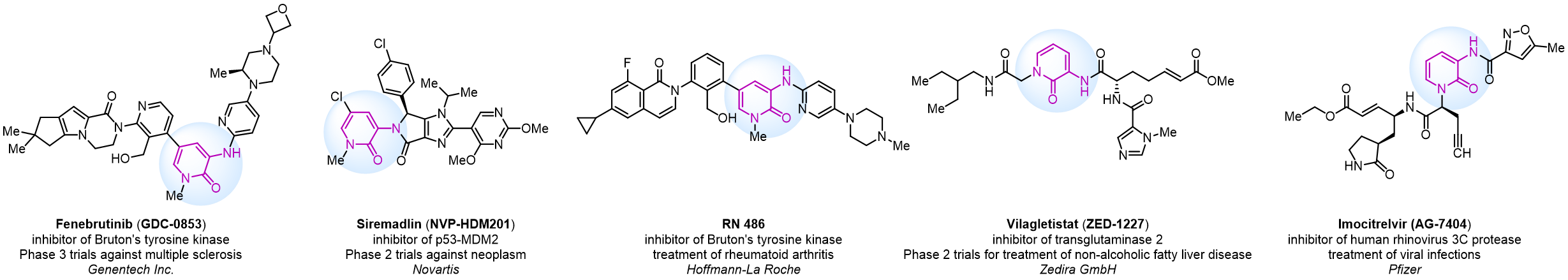 Aminopyridinone as an Amide Surrogate