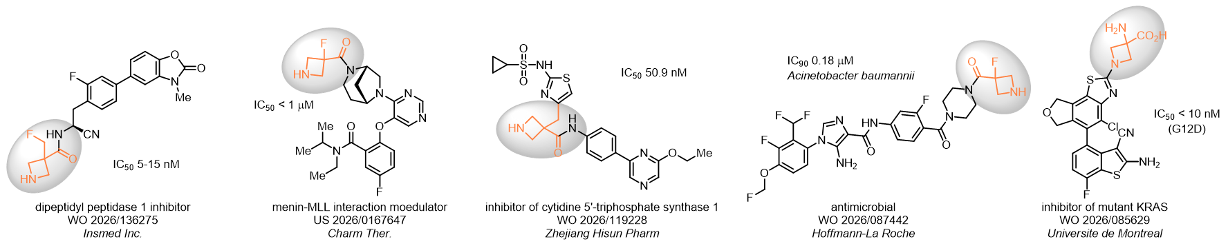 Azetidino Acids as α-Amino Acid Surrogates