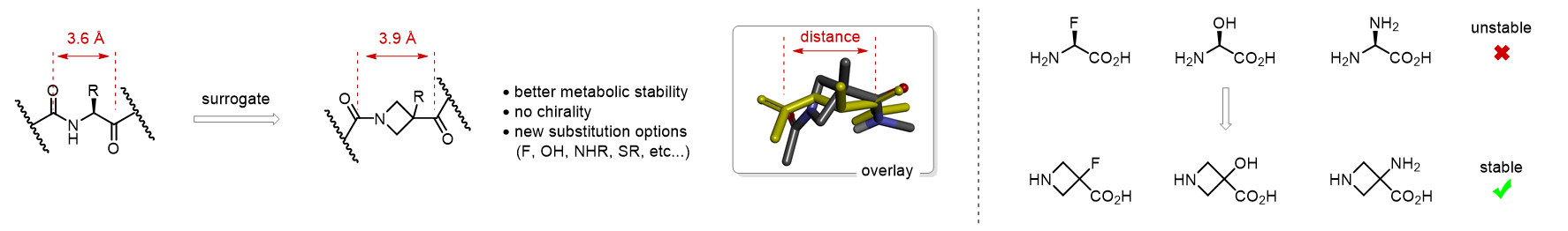 Concept: Azetidino Acids as α-Amino Acid Surrogates