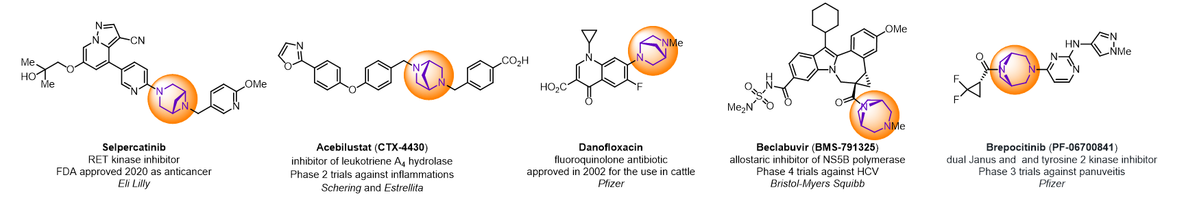 Bridged Piperazines for Drug Discovery