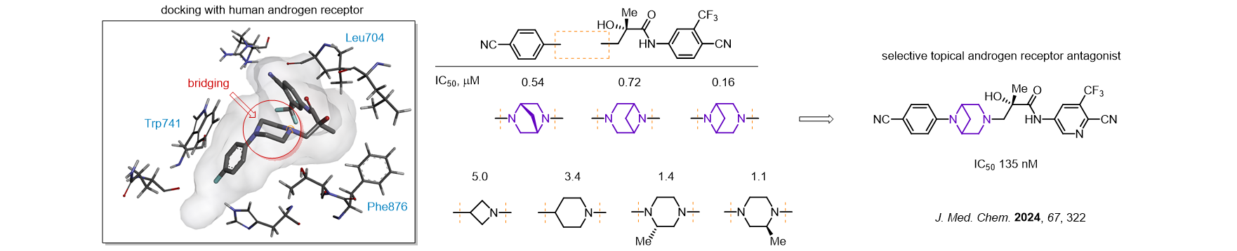 Case study: Bridged Piperazines for Drug Discovery