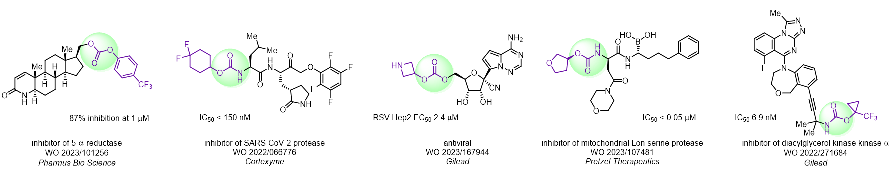 Chloroformates for Medicinal Chemistry