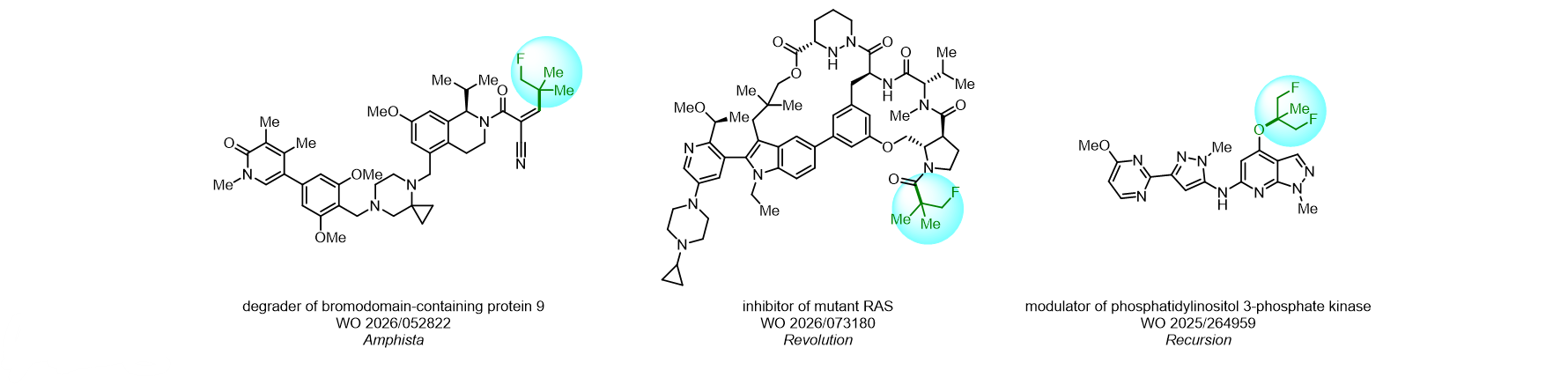 Fluoro-tert-Butyl Groups