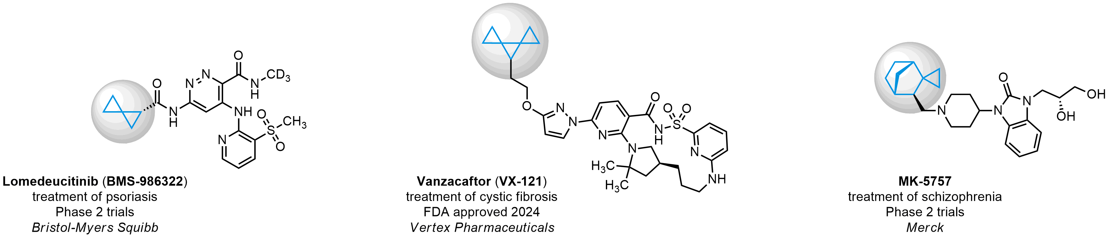 Metabolically Stabilized Lipophilic Groups