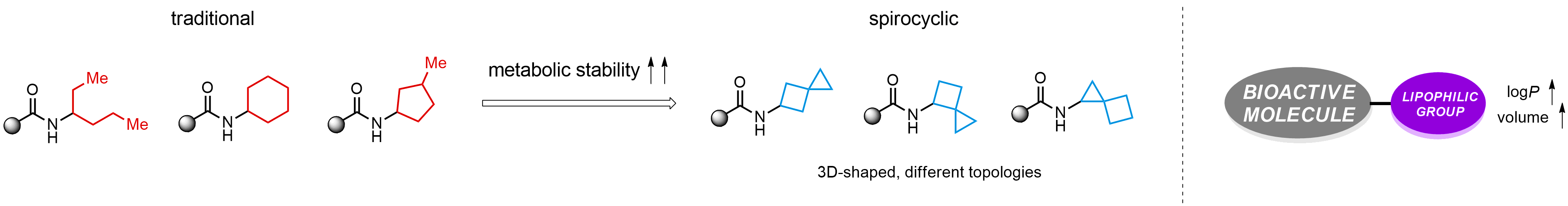Metabolically Stabilized Lipophilic Groups