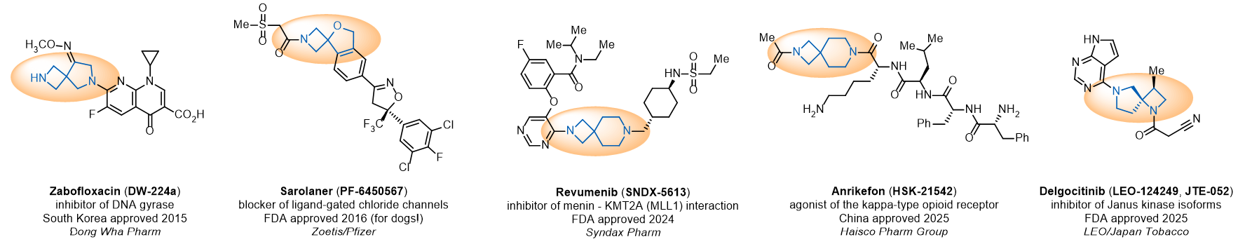 Magic Methyl for Spirocyclic Scaffolds