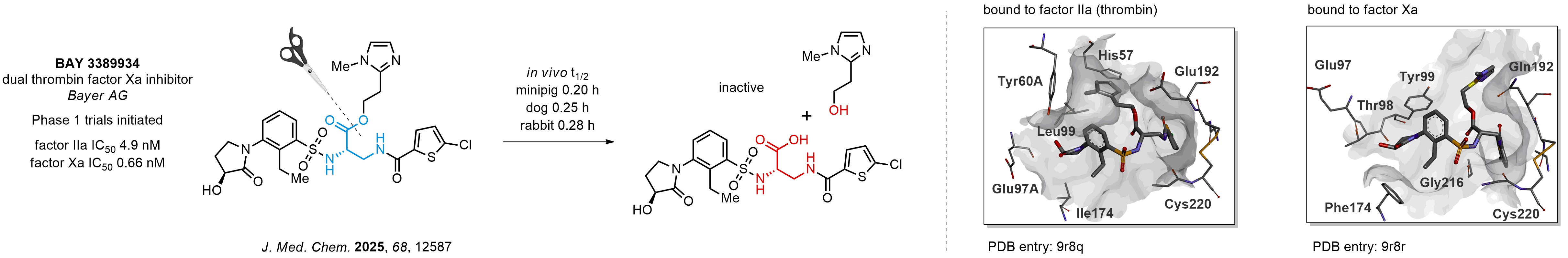 Metabolically Stabilized Lipophilic Groups