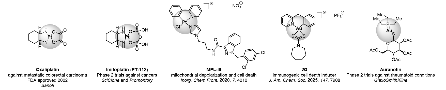 Metal Chelators for Chemotherapy