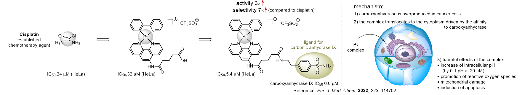 Case study: Metal Chelators for Chemotherapy