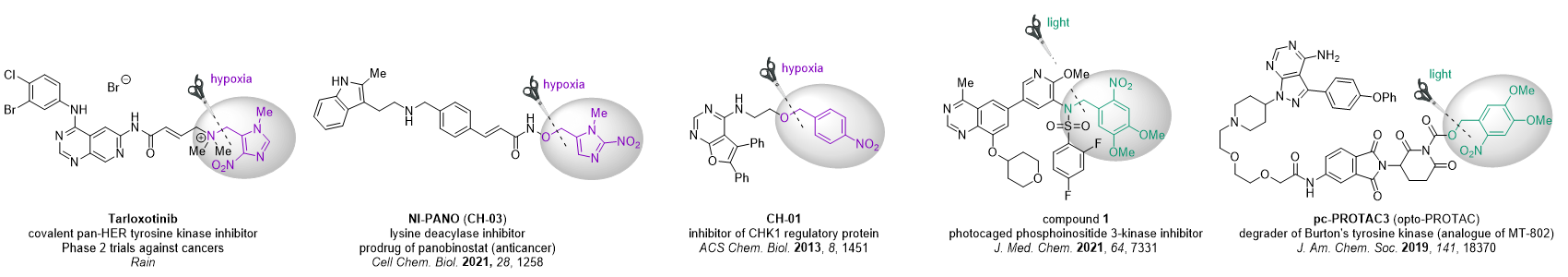 Nitrobenzyl Cages for Prodrug Design