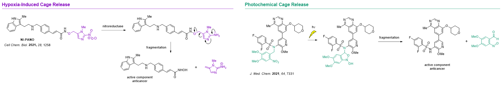 Case studies: Nitrobenzyl Cages for Prodrug Design