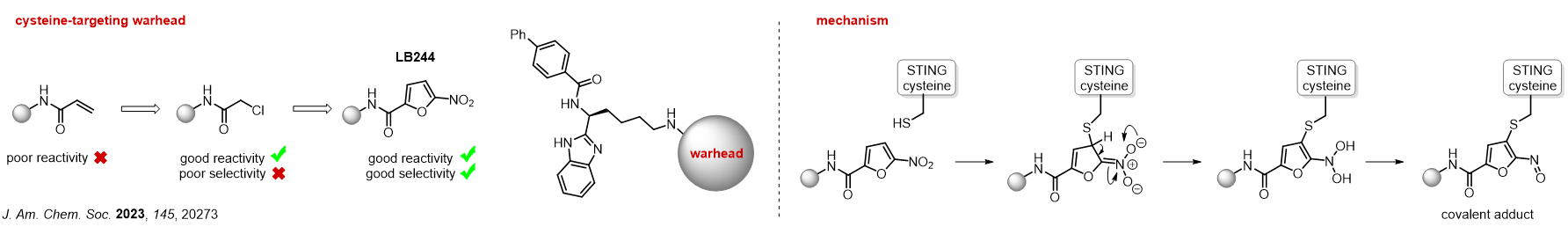Case studies: Nitrofuran Cysteine Binders