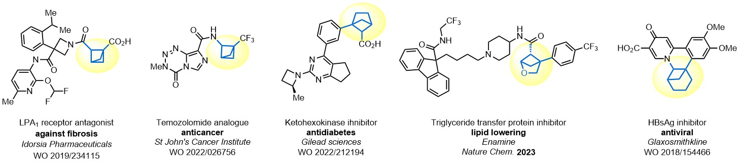 Saturated Bioisosteres of ortho-substituted Phenyl Ring