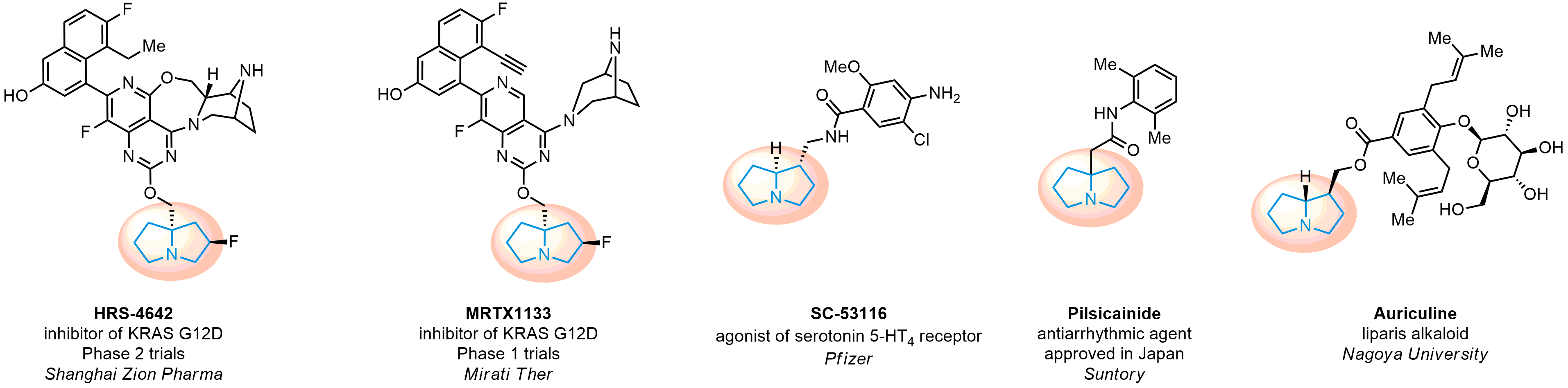 Pyrrolizidines for Drug Design