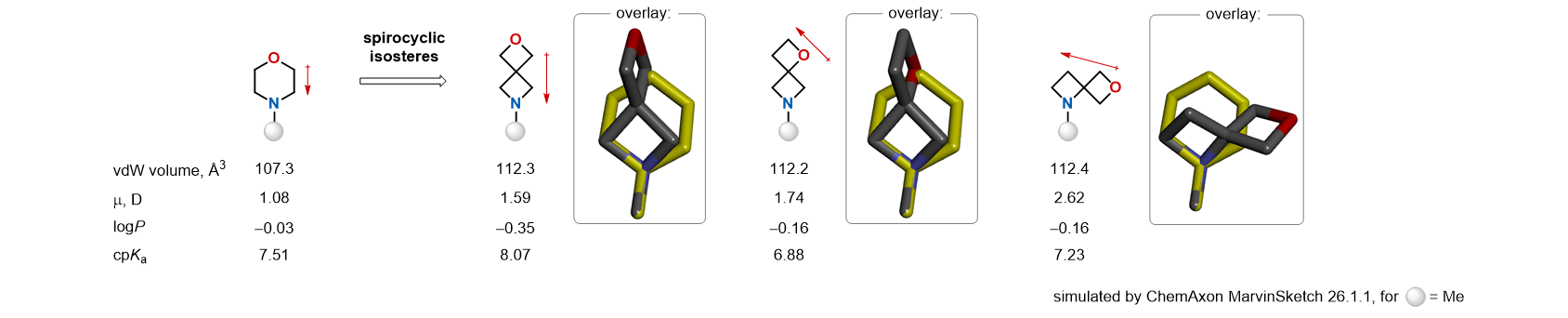 Concept: Spiro Morpholines