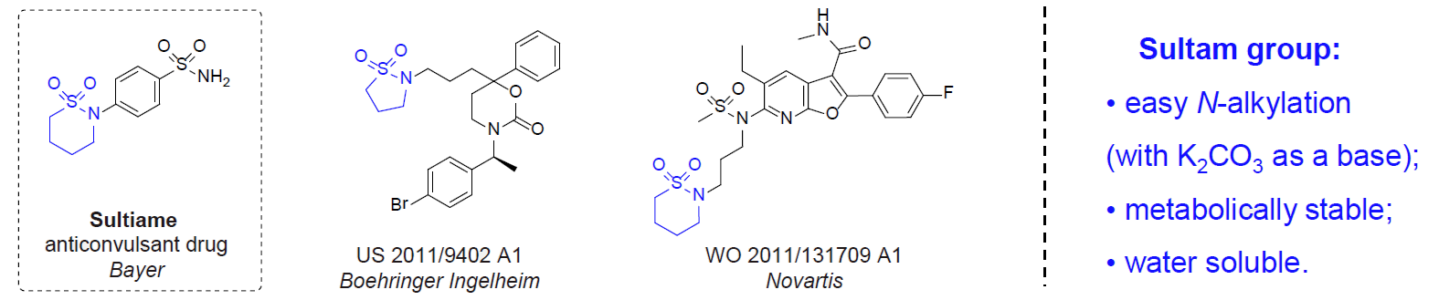 Cyclic Sulfonamides For Drug Design Enamine - 