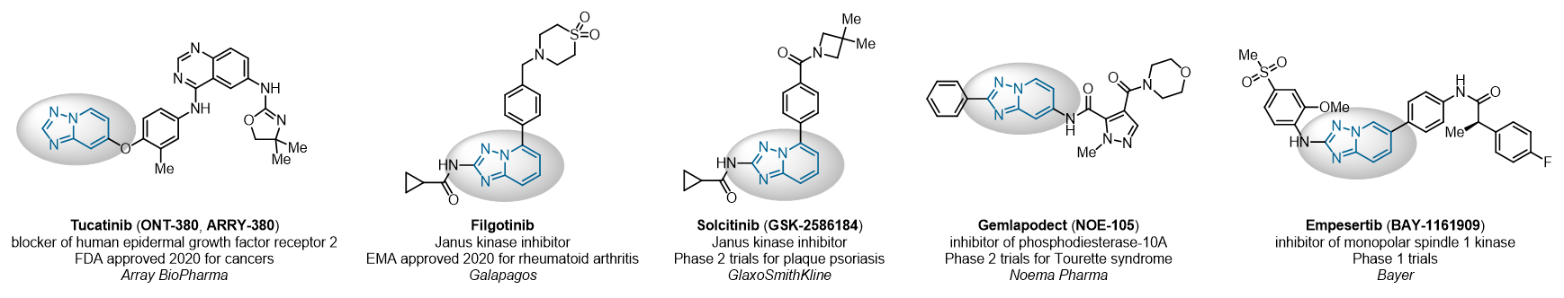 Triazolopyridine Scaffold