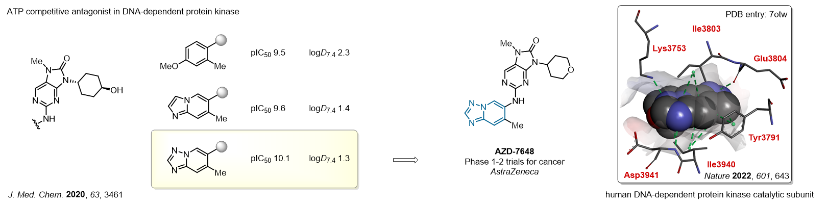 Case study: Triazolopyridine Scaffold